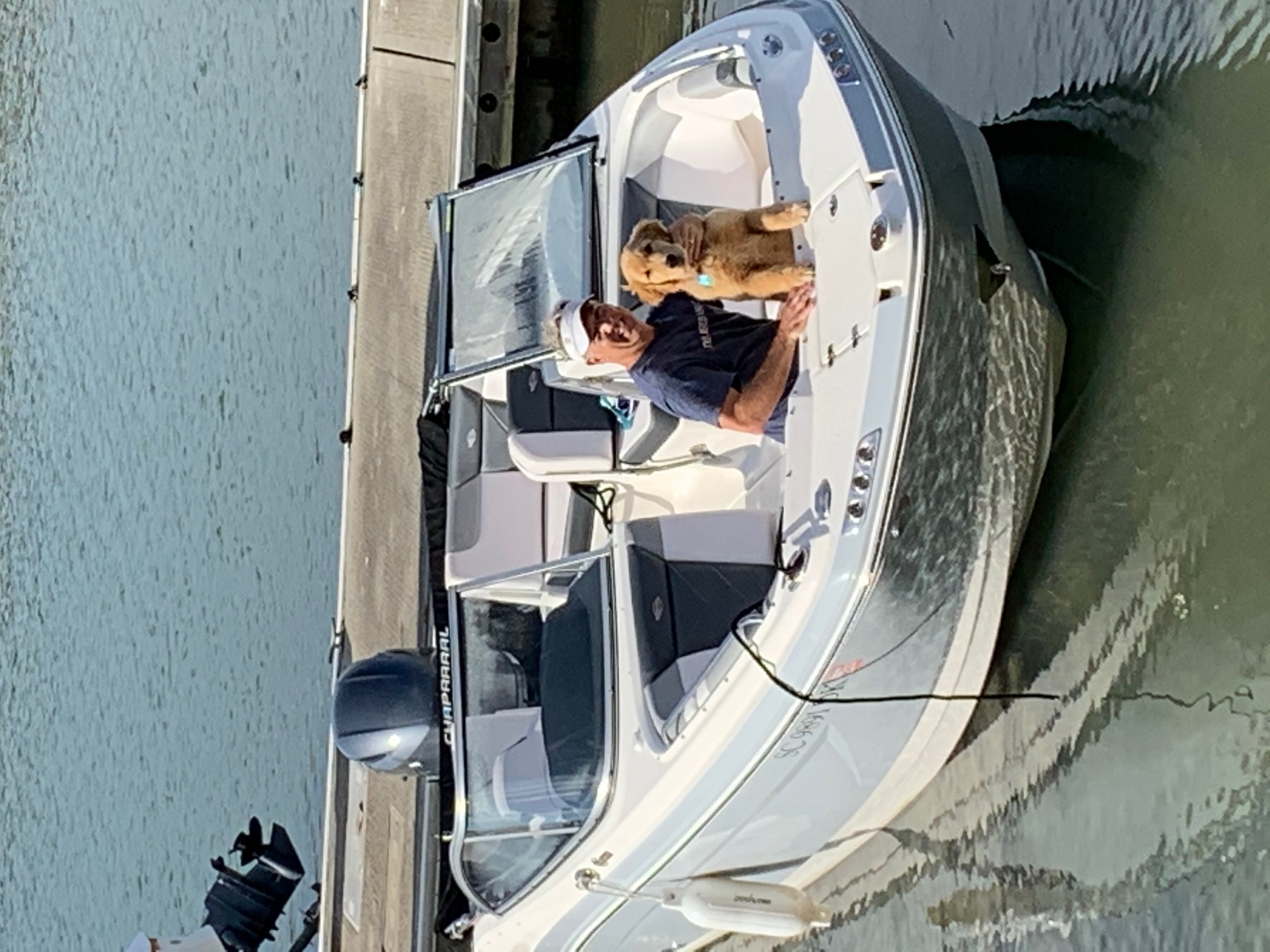 golden retriever dog on a boat