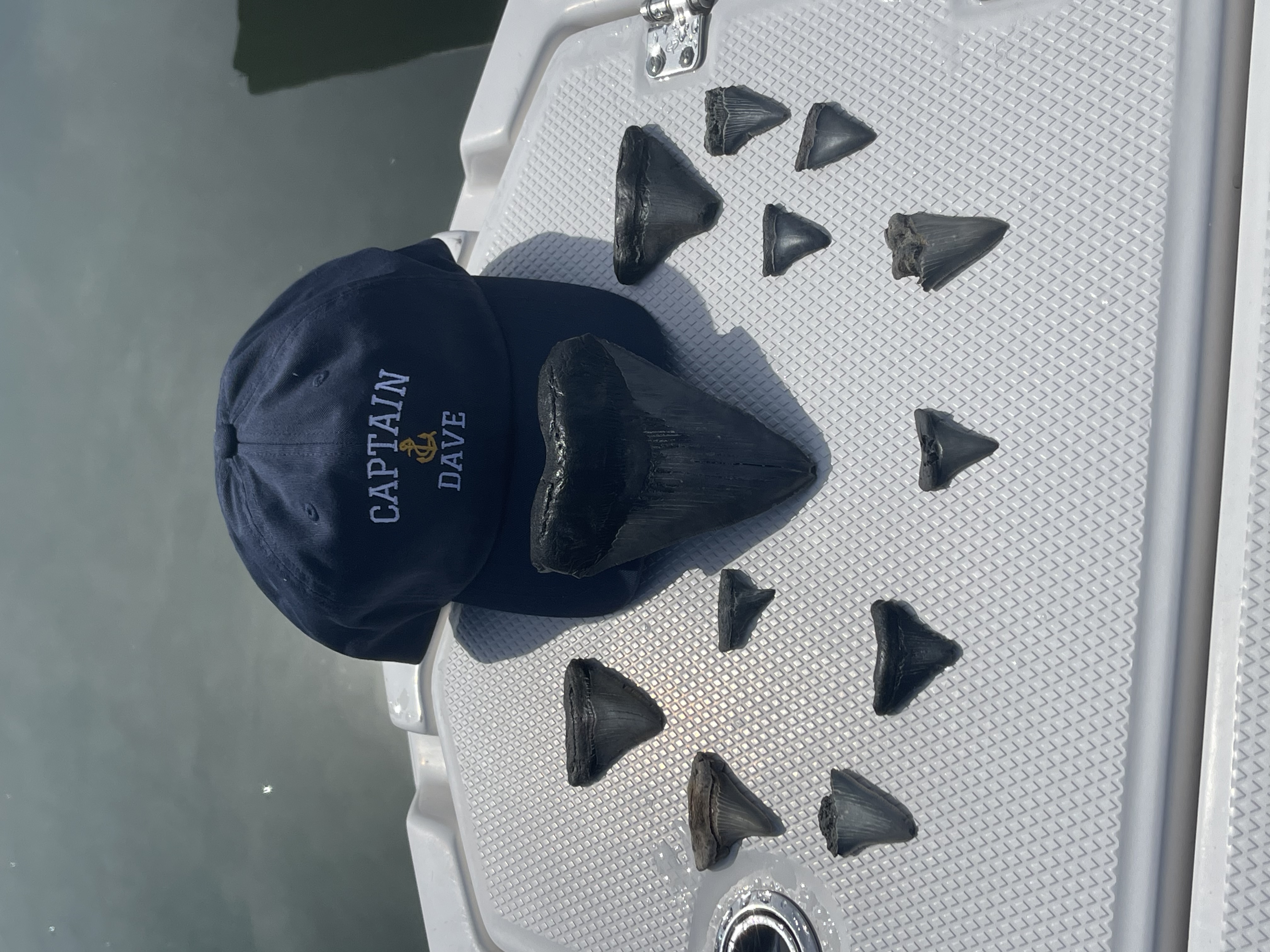 shark teeth on a boat next to a hat